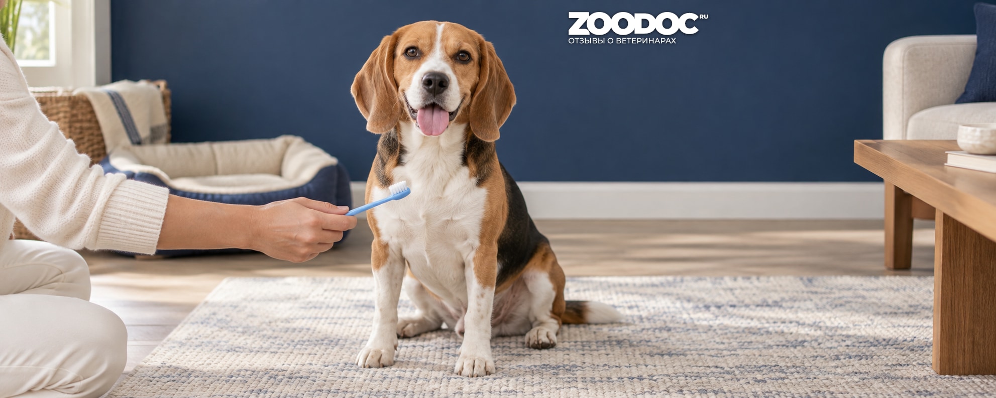 Как чистить зубы собаке