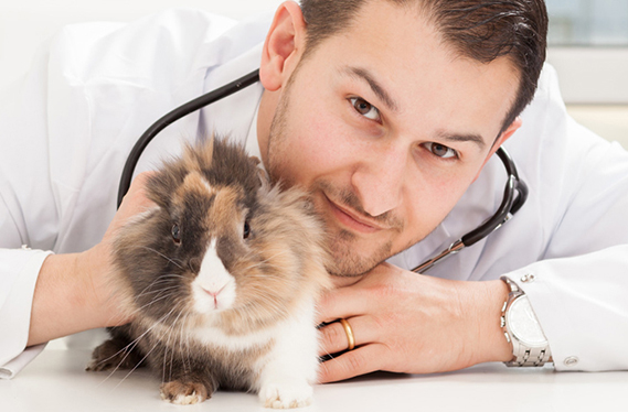 Какие прививки надо делать