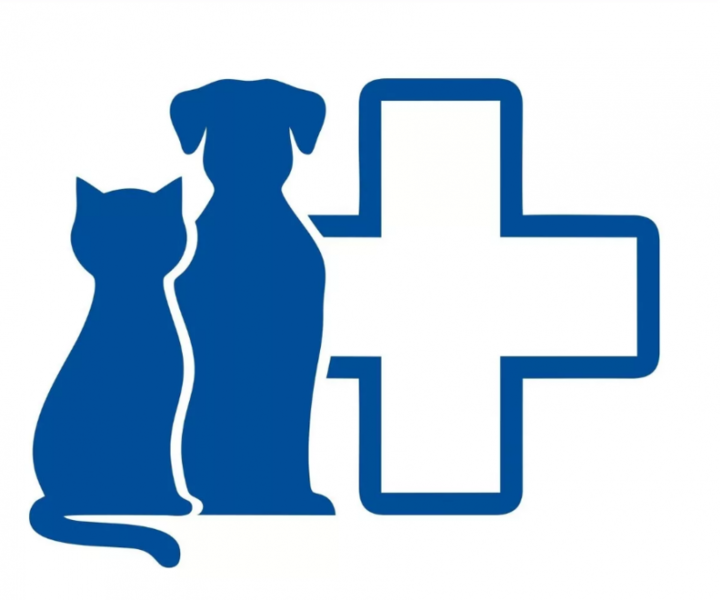clinic logo