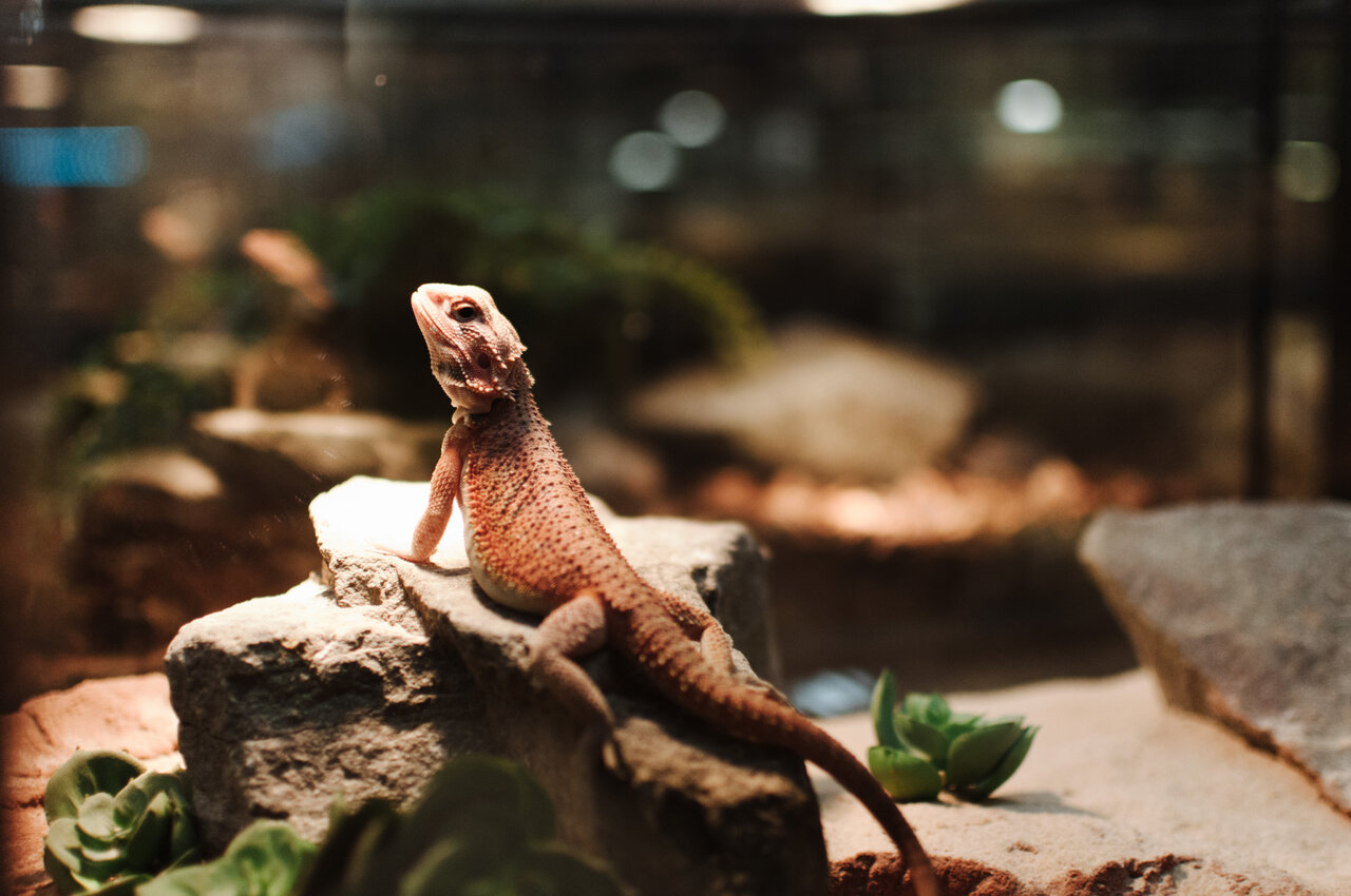 more clinic photos 66201