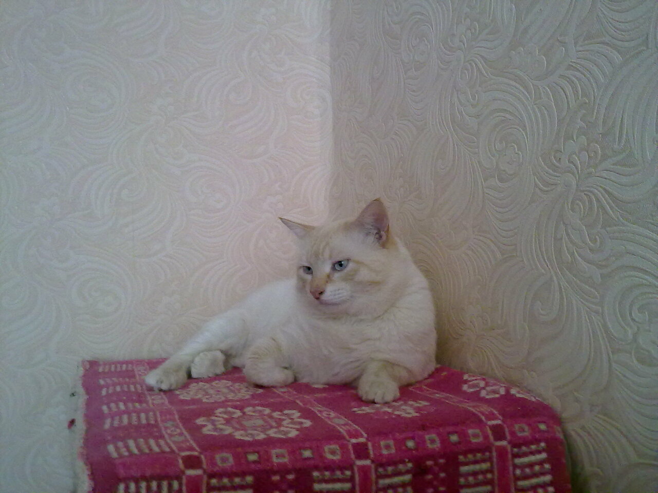 Фото клиники 740