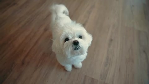 clinic general image