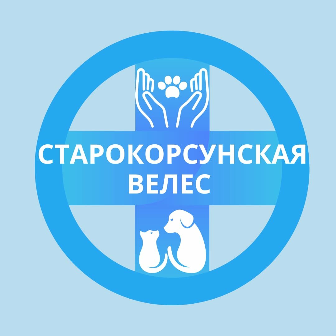 Логотип клиники