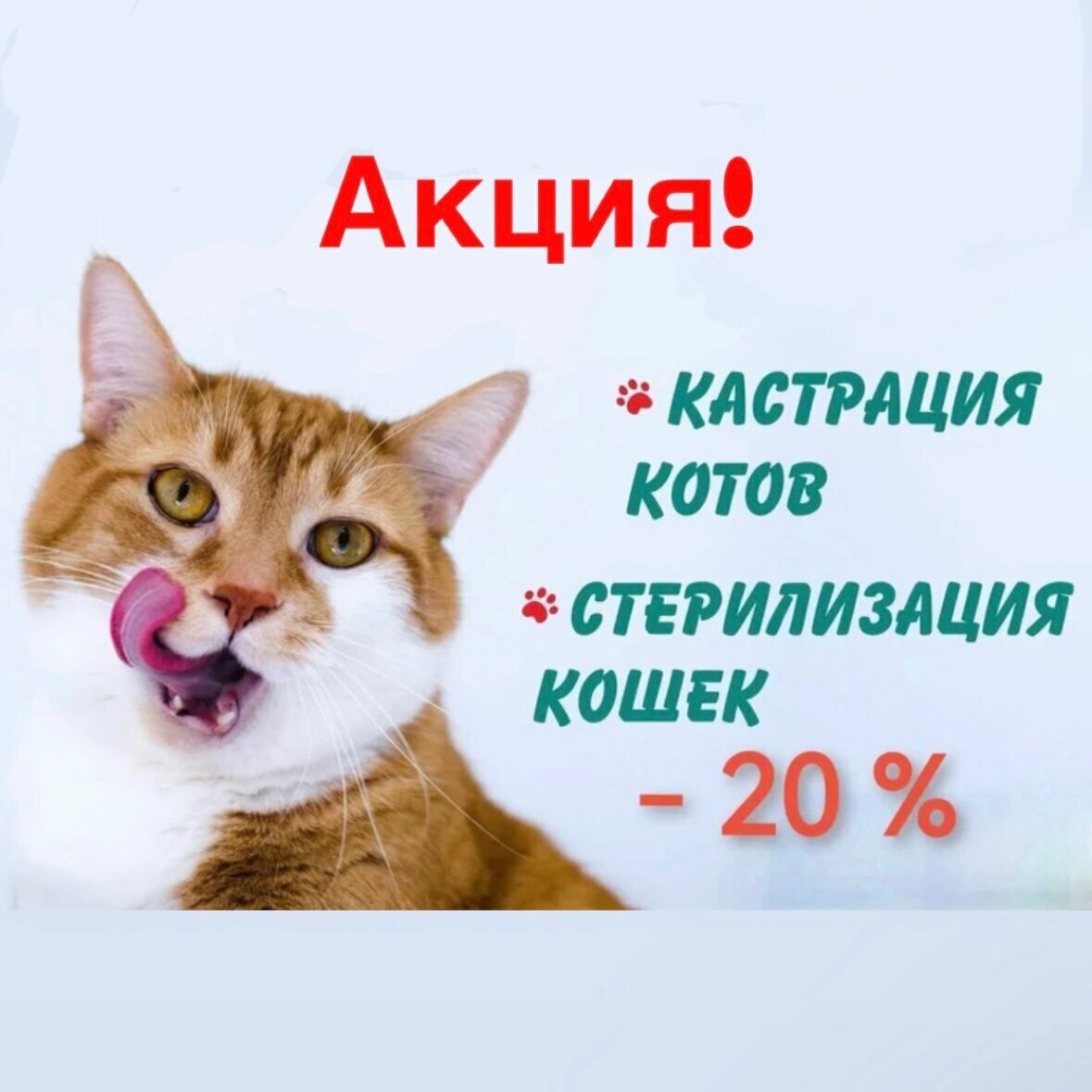 Фото клиники ВетЛайф