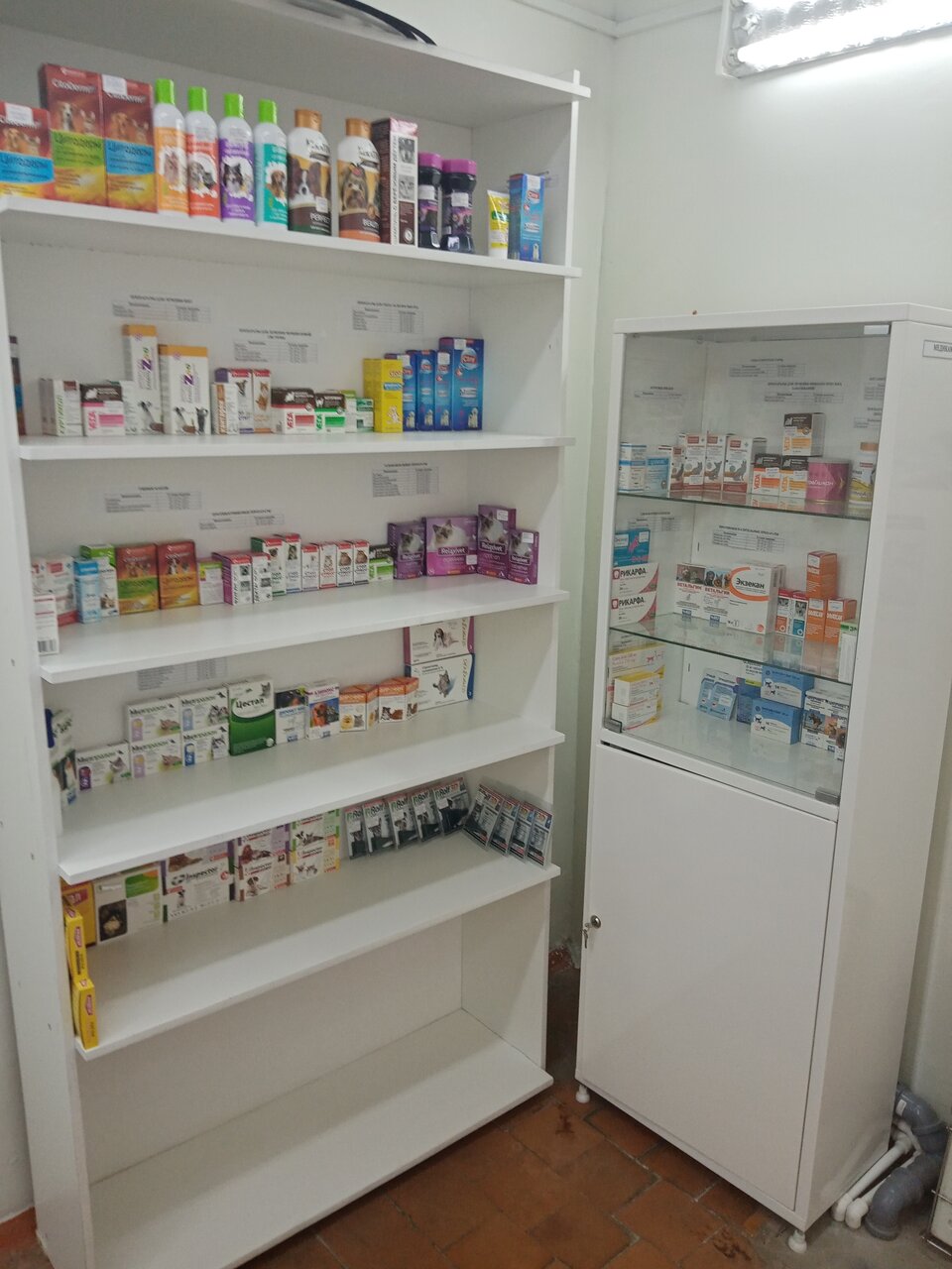 more clinic photos 48889