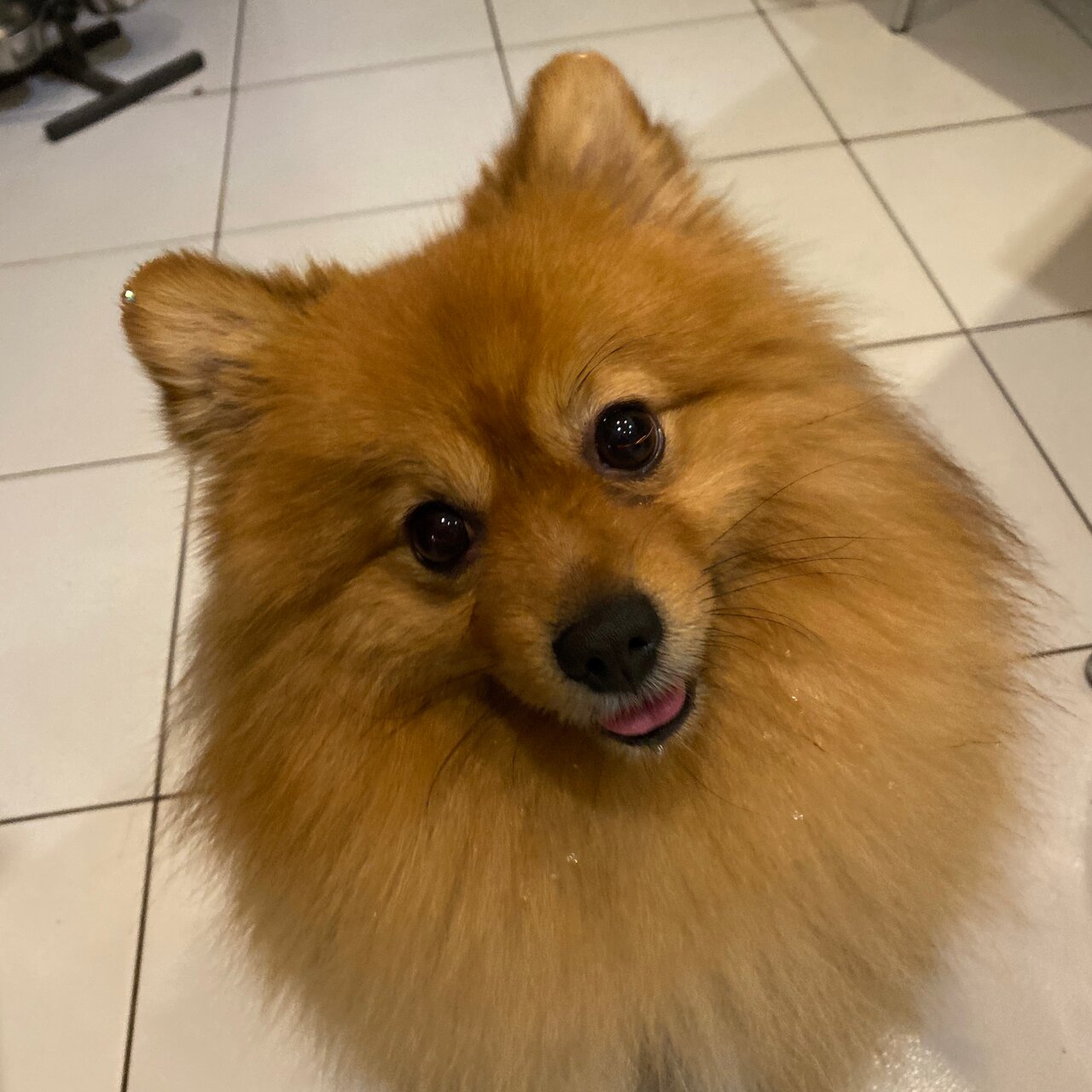 clinic general image