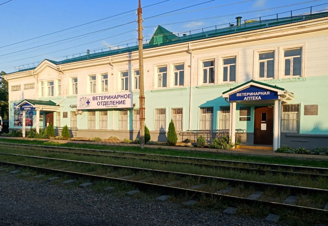 Фото клиники 24711