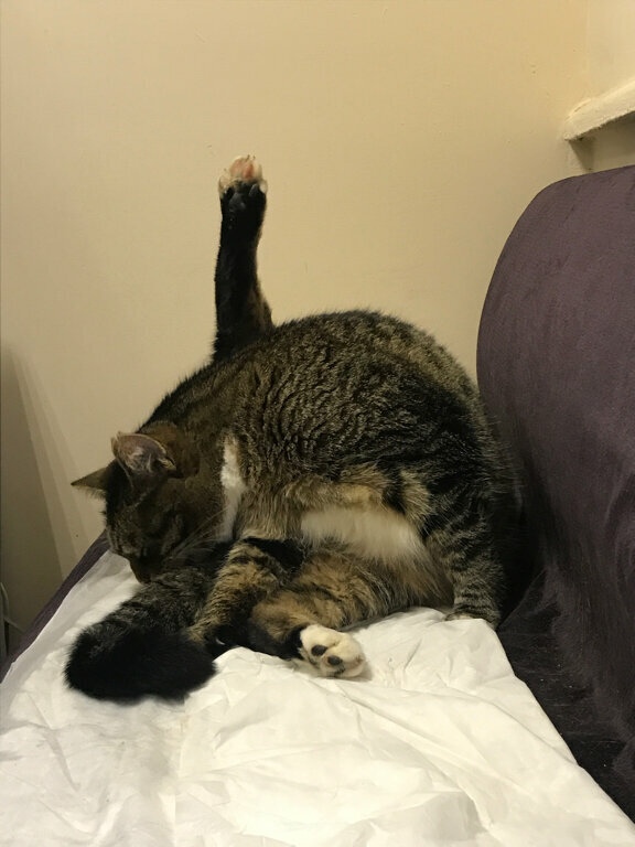 more clinic photos 37181