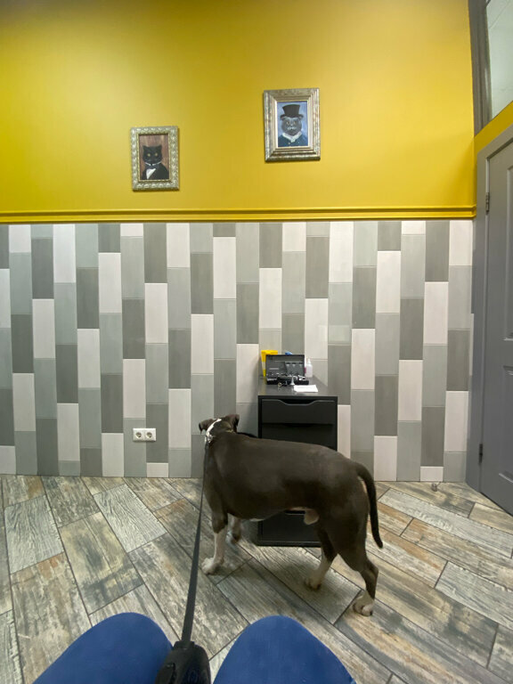 more clinic photos 10876