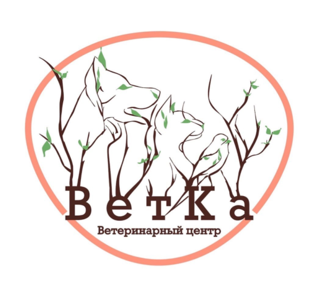 Логотип клиники