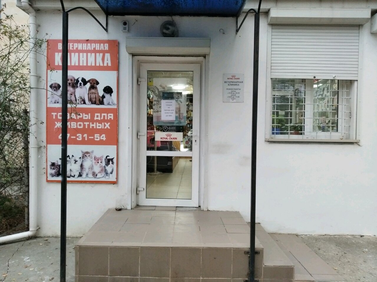 Фото клиники 77636