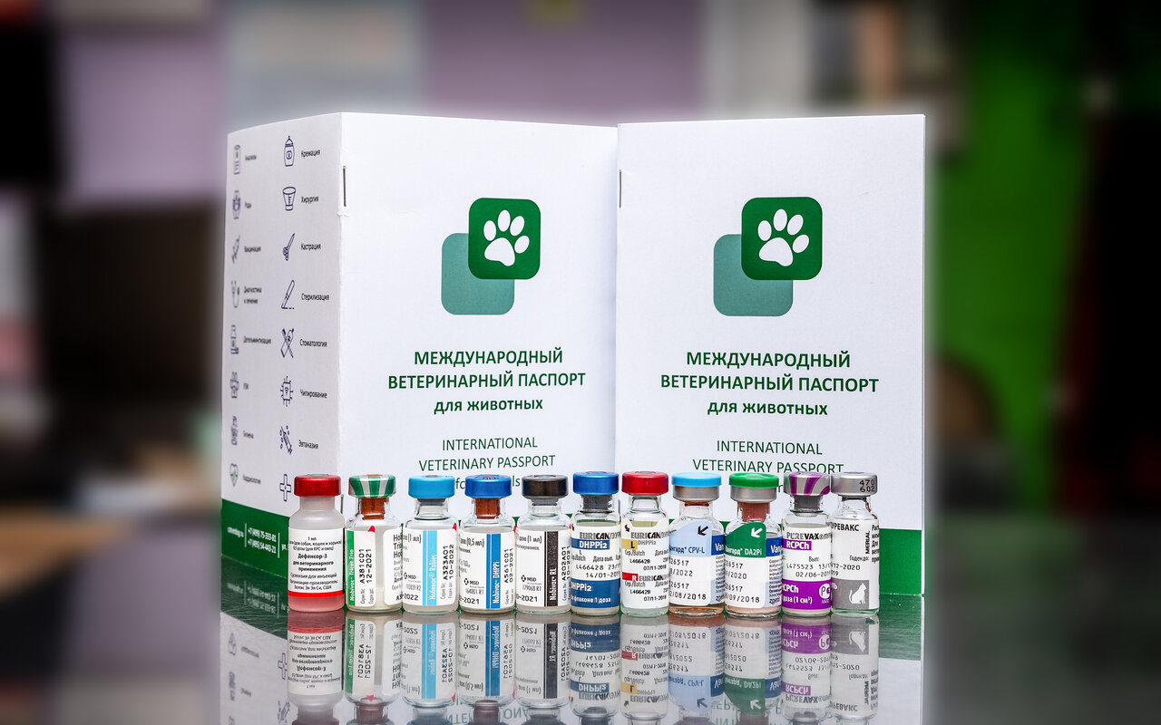 Фото «CatVetDog Верхние Поля»