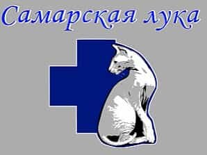 Логотип клиники