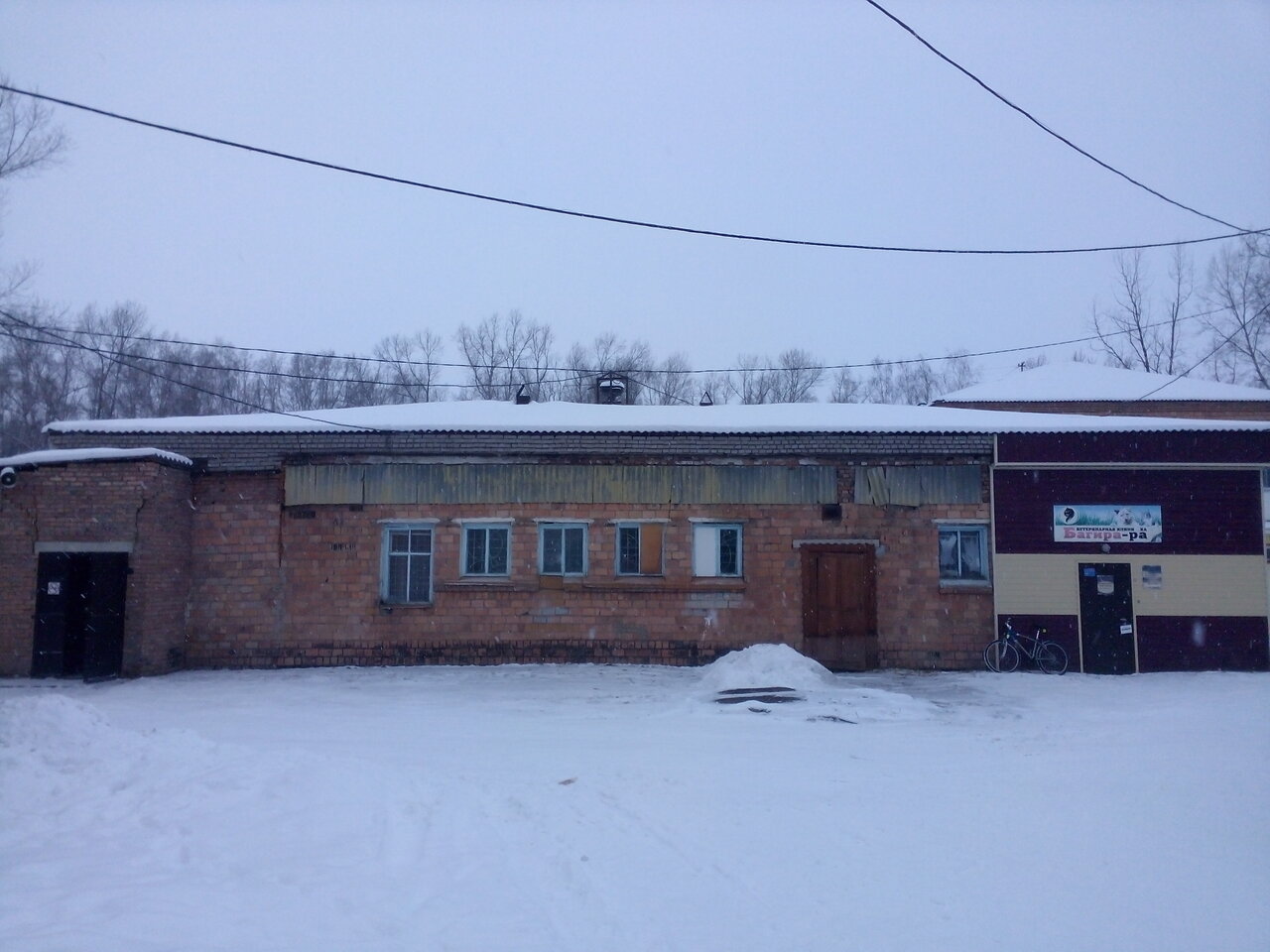 Фото клиники Багира