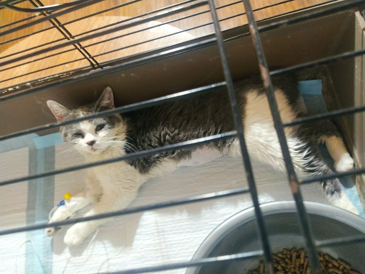 more clinic photos 39748