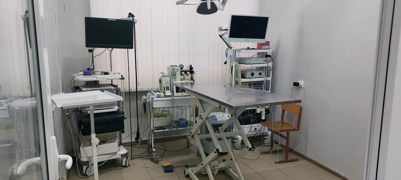 Ветеринарная клиника КалмГУ