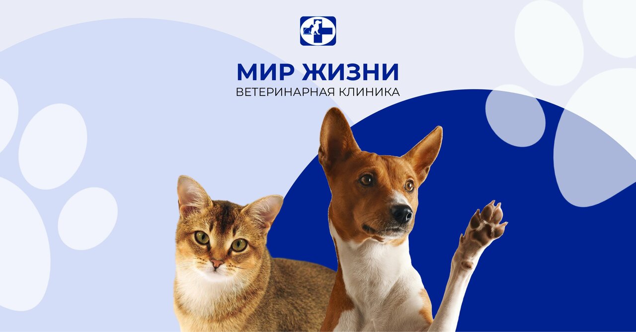 Главное фото клиники