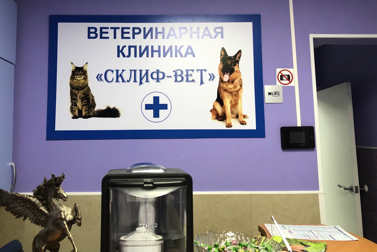 Фото клиники 20890