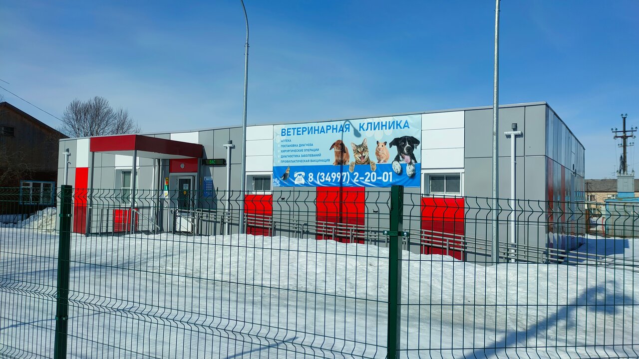 Ветклиника