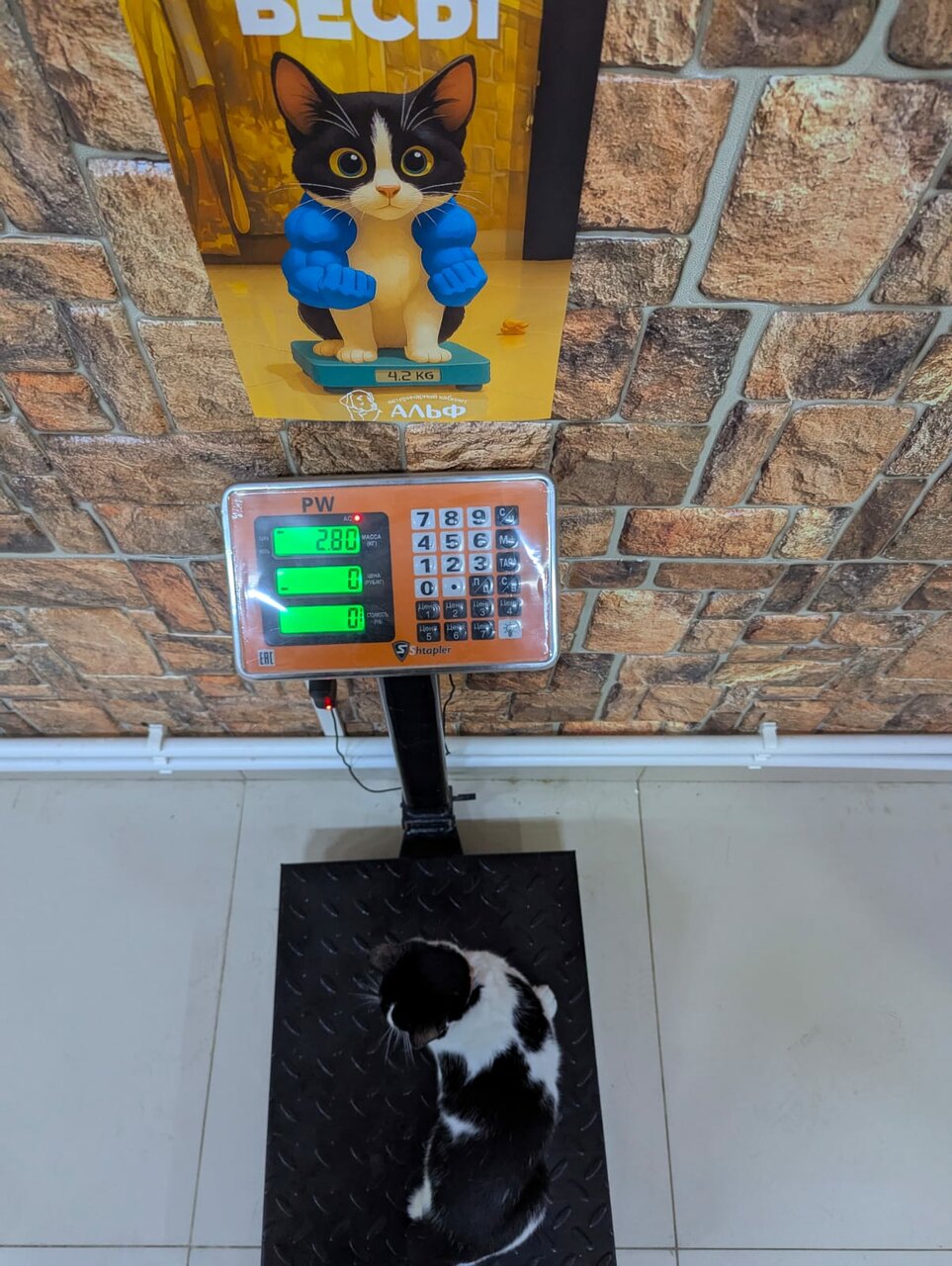 more clinic photos 26741