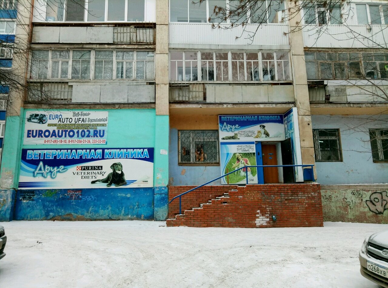 Фото «Друг»