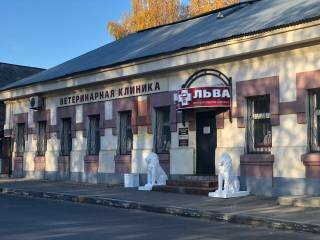 Фото клиники 36105