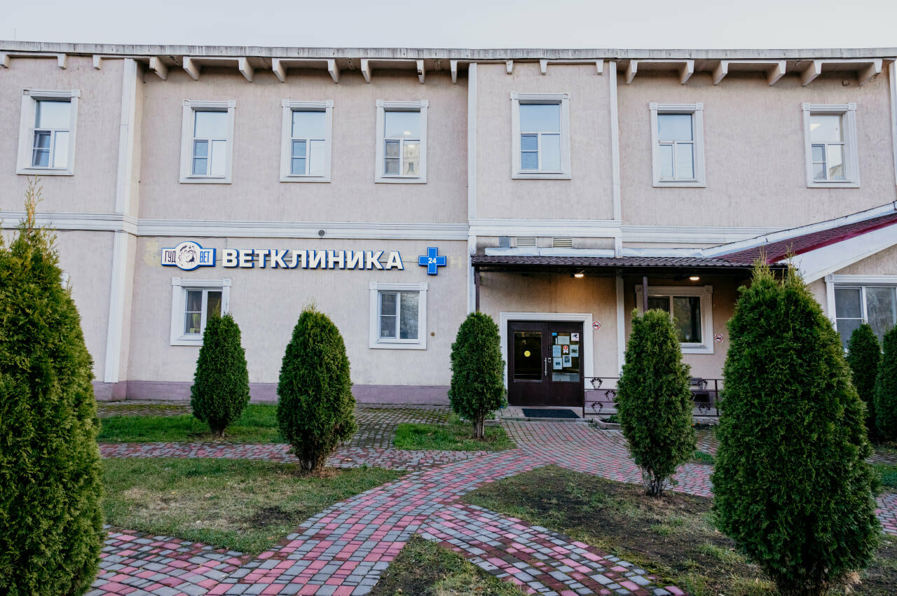 Фото клиники 68398