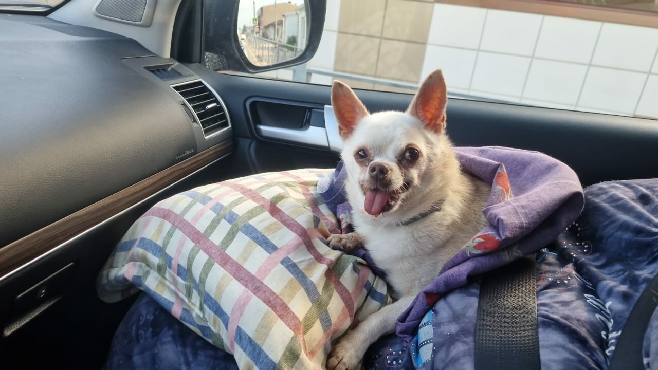 clinic general image