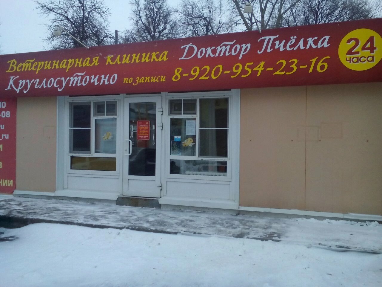 Доктор Пчёлка