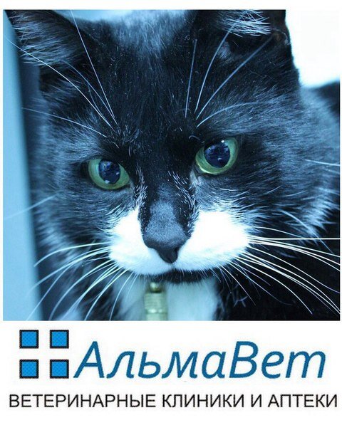 Логотип клиники