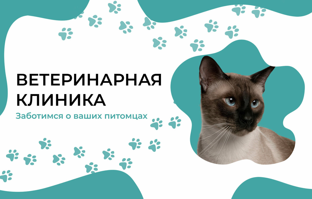Фото «Ветеринарная клиника»