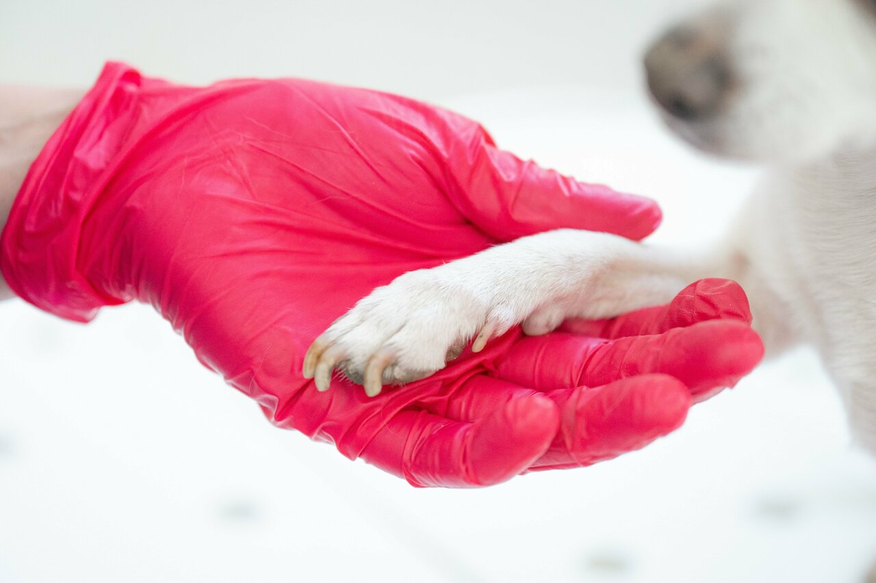 more clinic photos 51109