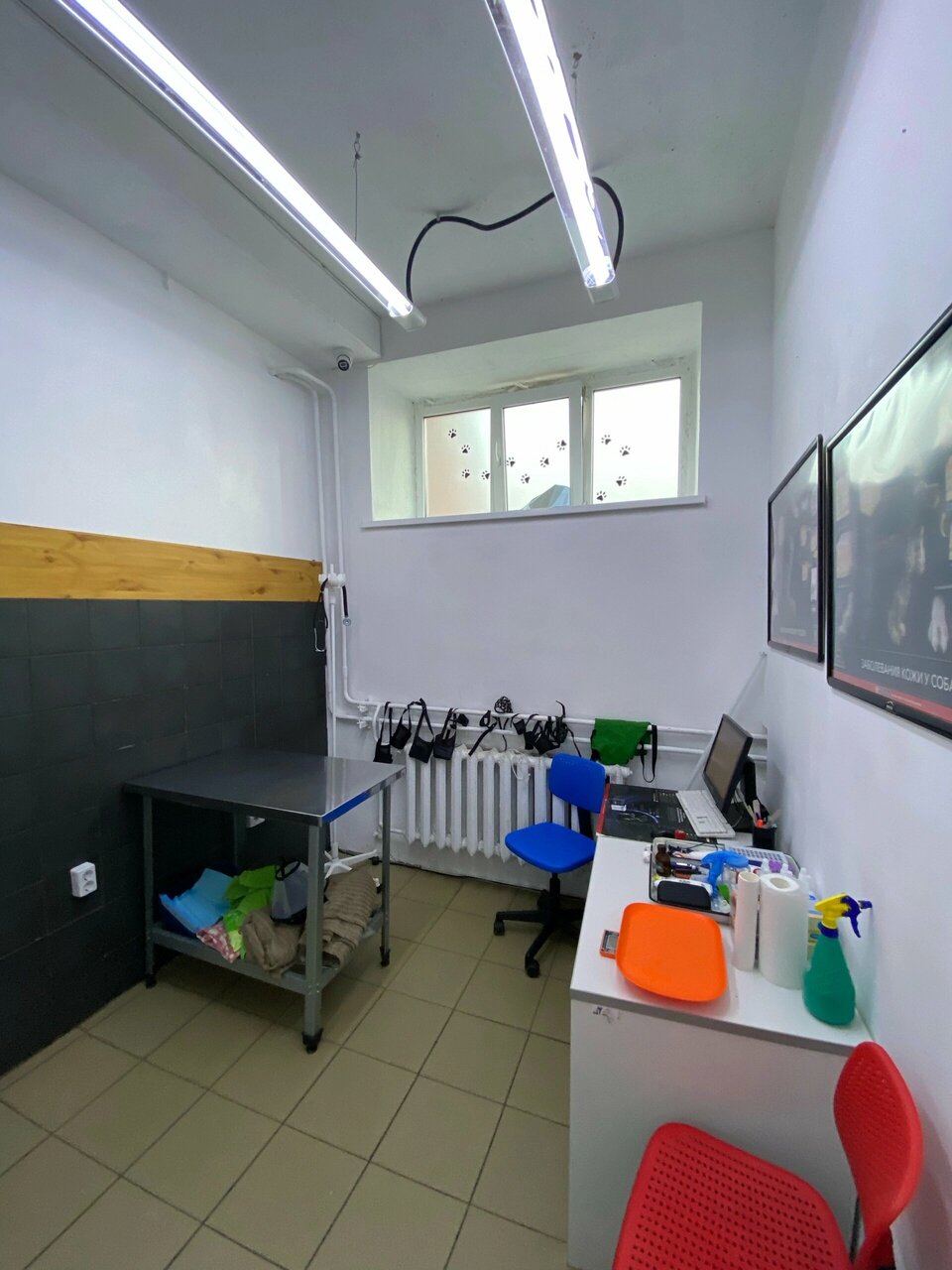 Фото клиники 81860