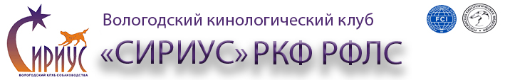 clinic logo