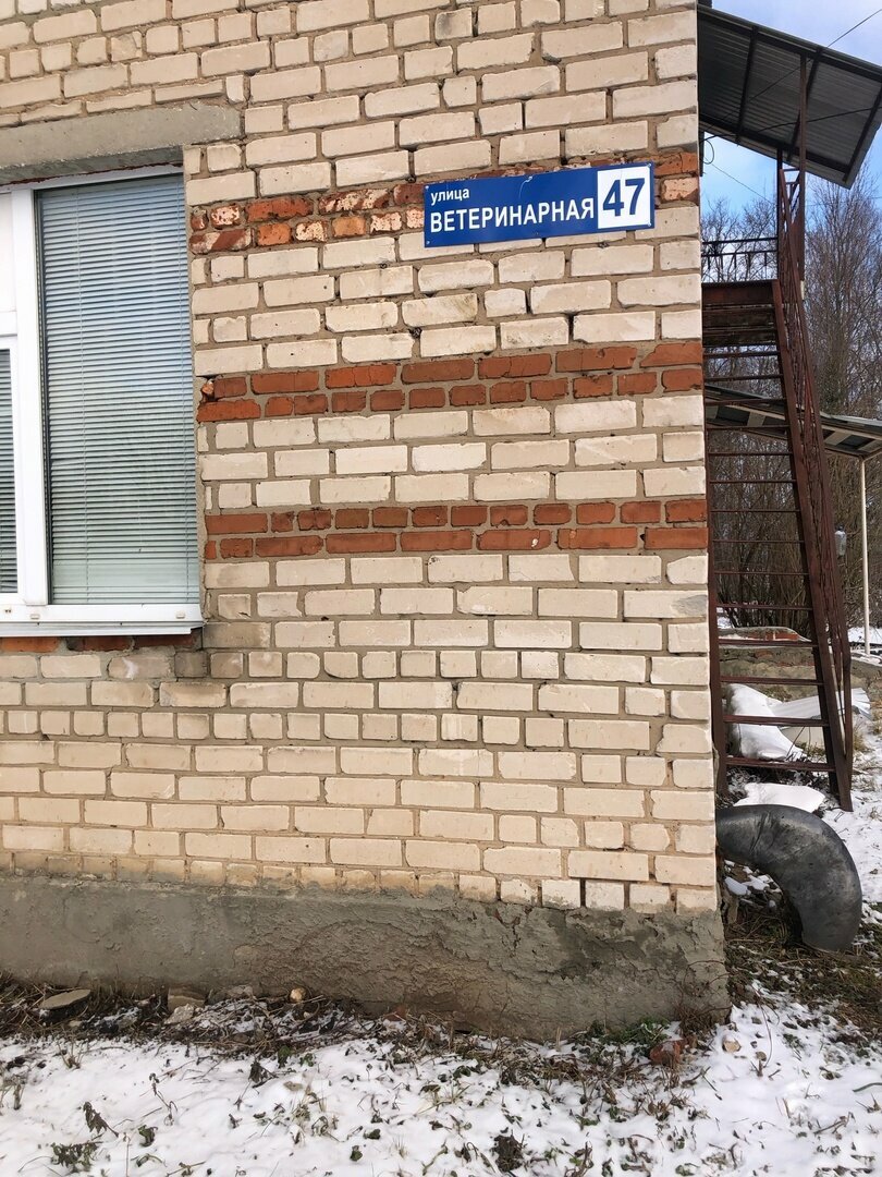 Фото клиники 29851