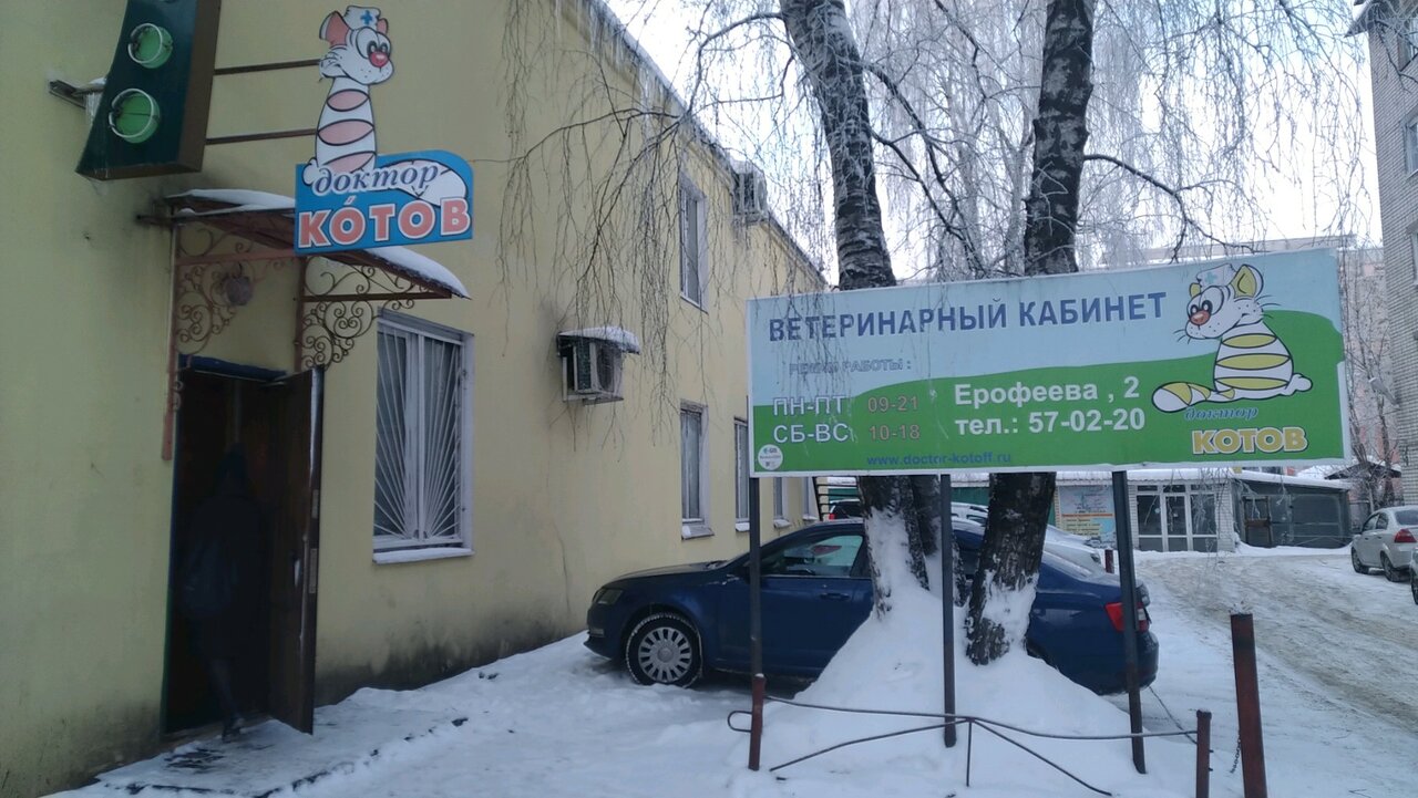 Доктор Котов