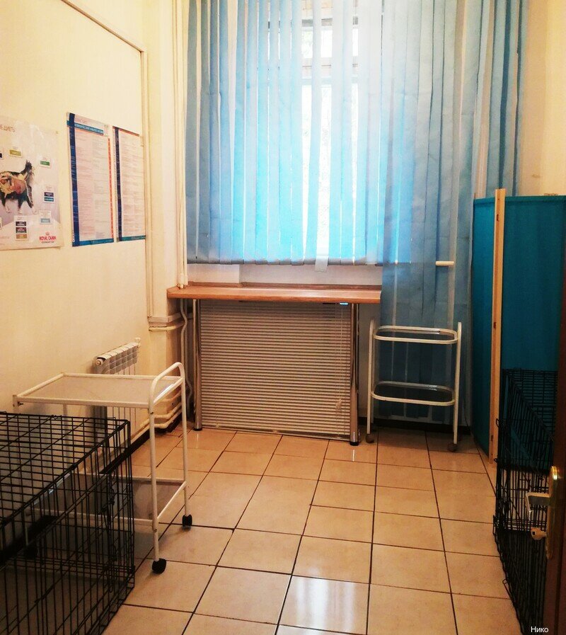 Фото клиники 12381