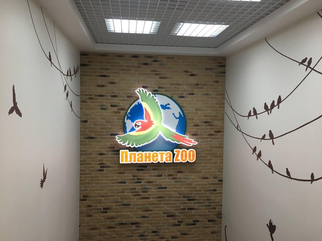 more clinic photos 14325