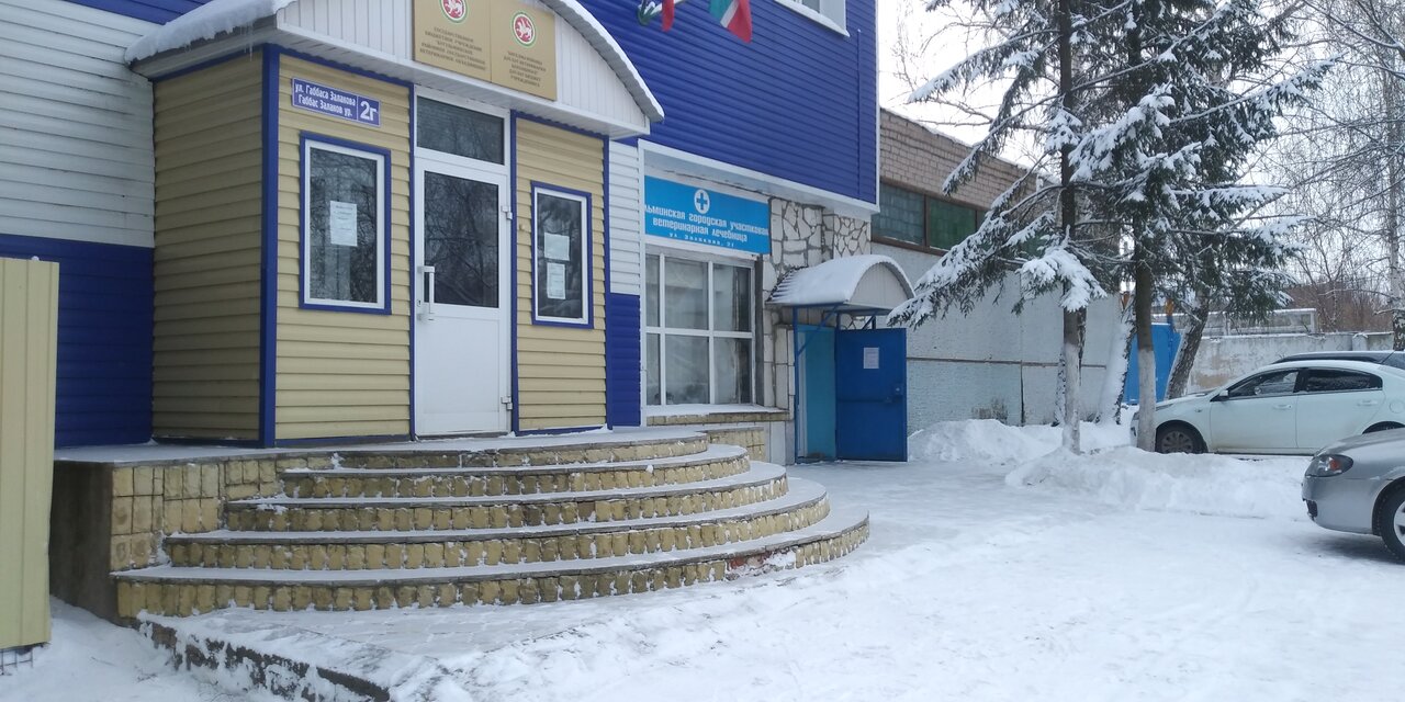 Бугульминское Районное Государственное Ветеринарное Объединение