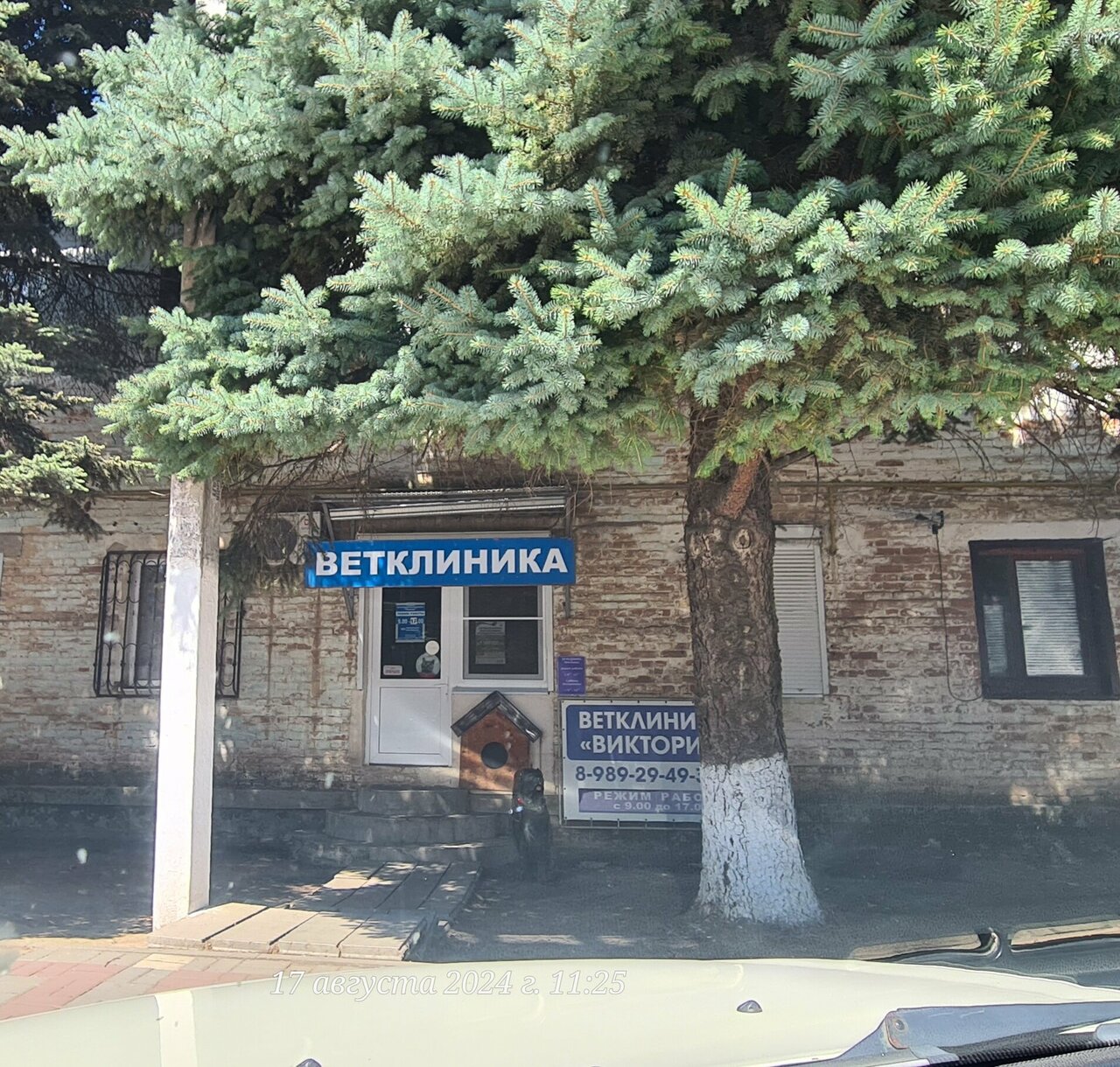 Фото клиники 39266
