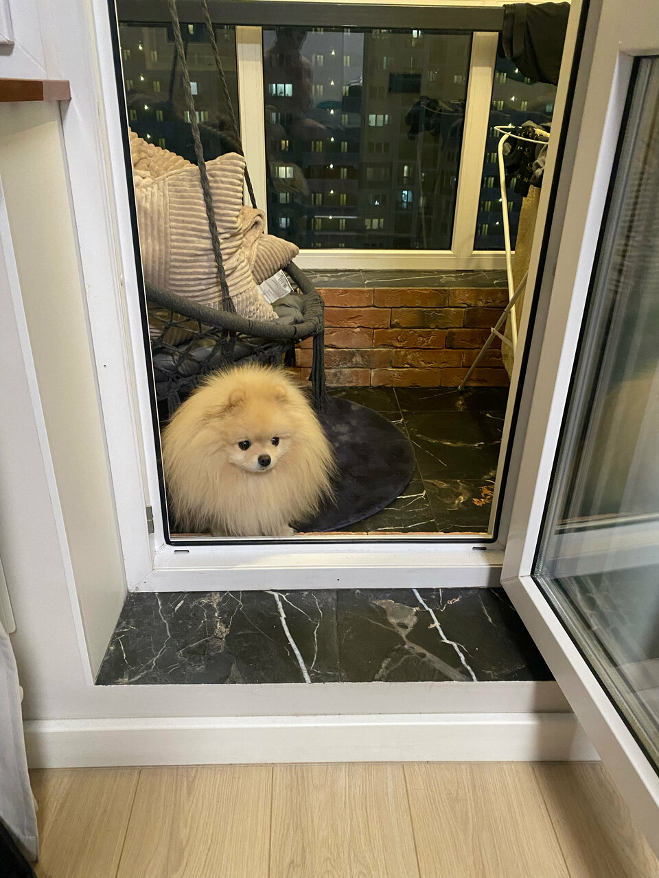 more clinic photos 84545