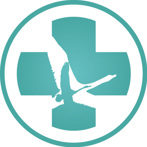 clinic logo
