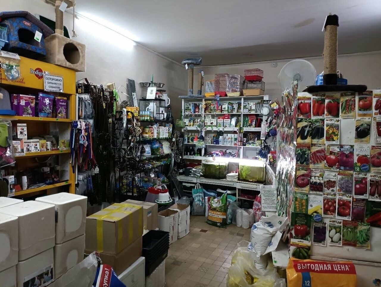 Фото клиники Ника