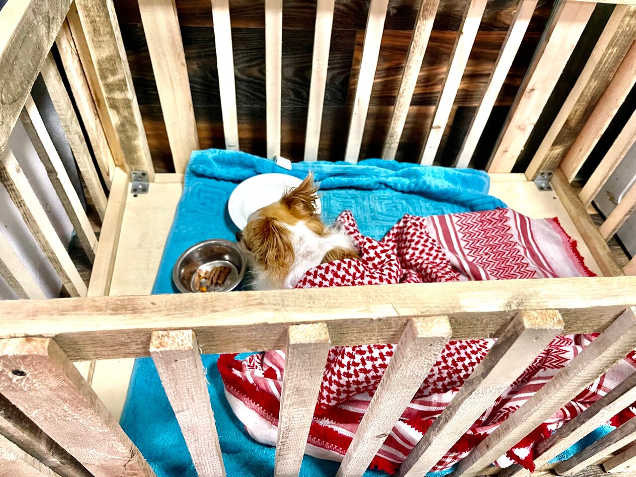 Ветеринарная клиника Алекс