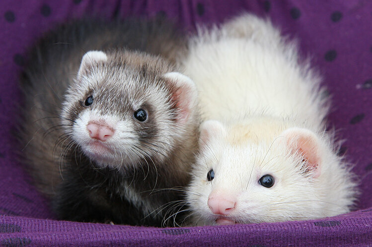 clinic general image