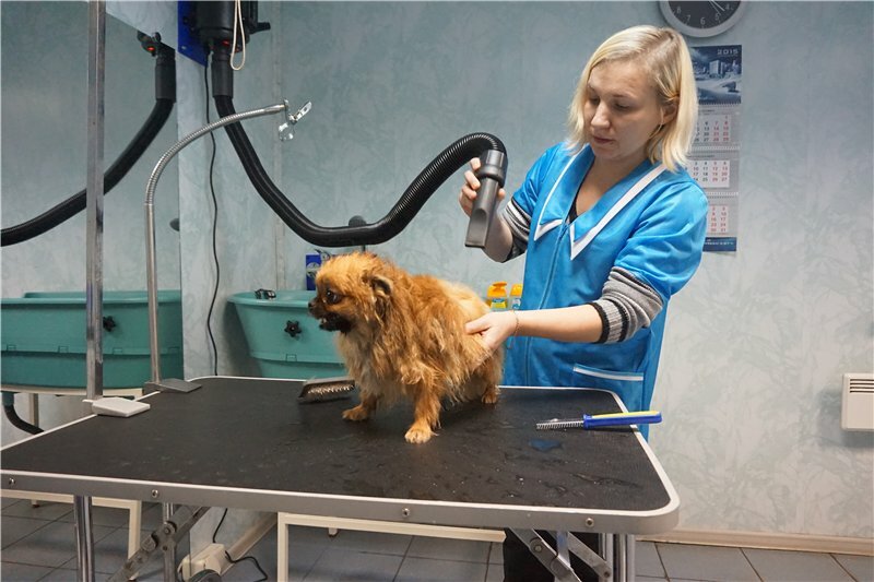 clinic general image