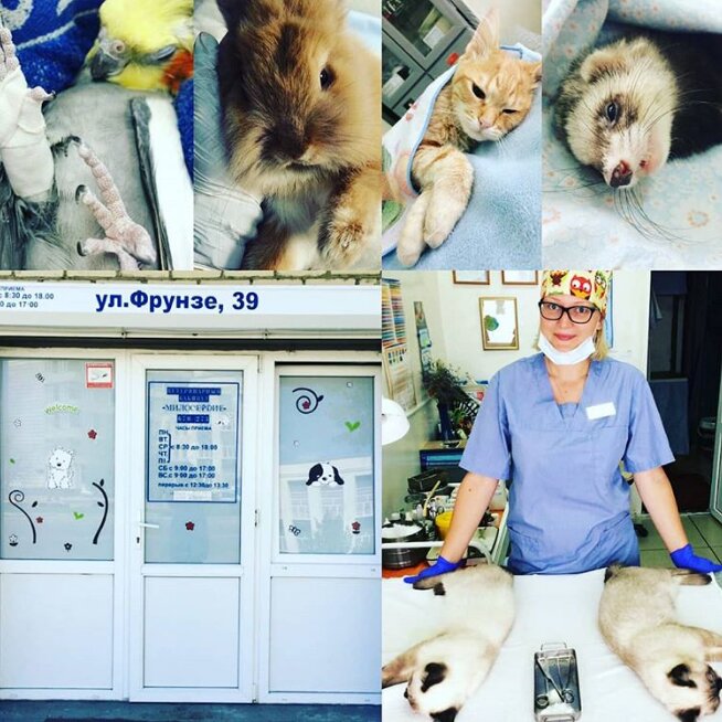 Милосердие