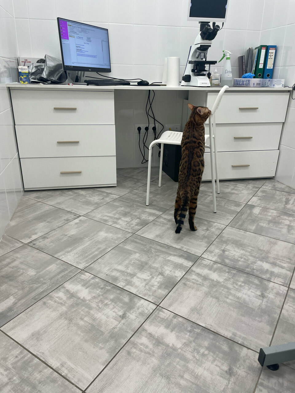 more clinic photos 45923