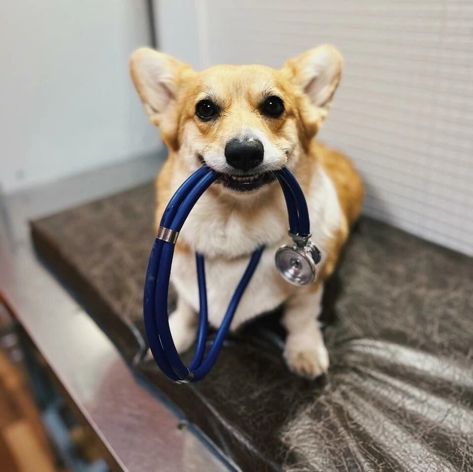 clinic general image