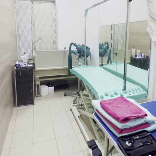 Фото «Vet-check-up»